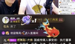 沈猛爆料佬哥视频,佬哥视频揭秘幕后真相